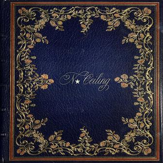 No Ceiling