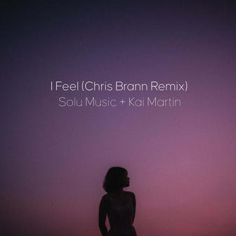 I Feel (Chris Brann Remix)