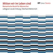Trauerchöre, Op. 9: I. Ach wie nichtig