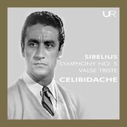 Symphony No. 5, Op. 82 II. Andante mosso, quasi allegretto