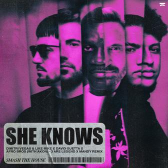 She Knows (With Akon [3 Are Legend x MANDY Remix])