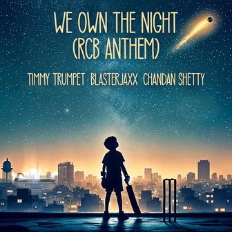 We Own The Night (feat. Chandan Shetty)