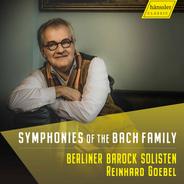 Concerto in D Major, JLB 39: I. Allegro