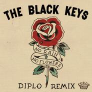 No Rain, No Flowers - Diplo Remix