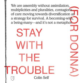 Stay with the Trouble (For Donna)