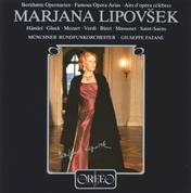 Lipovšek: Berühmte Opernarien