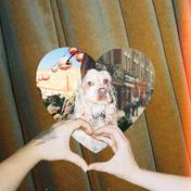 Broke My Heart (feat. Mallrat & Jelani Blackman)