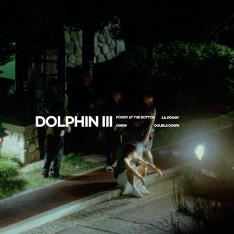 Dolphin 3