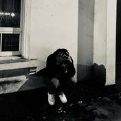 Midnight In London
