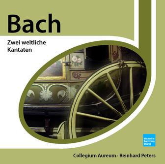 Bach: Zwei weltliche Kantaten