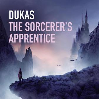 The Sorcerer´s Apprentice