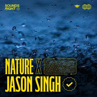 Rainfall Symphonies