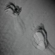 Footprint