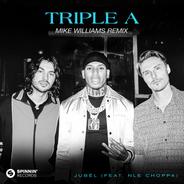 Triple A (feat. NLE Choppa) - Mike Williams Remix