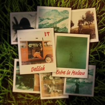 Entre La Maleza - Single