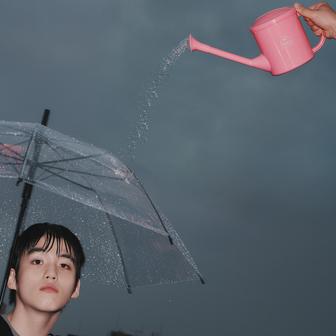 Rainy Day