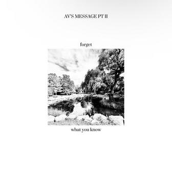 AV'S MESSAGE PT II: forget what you know