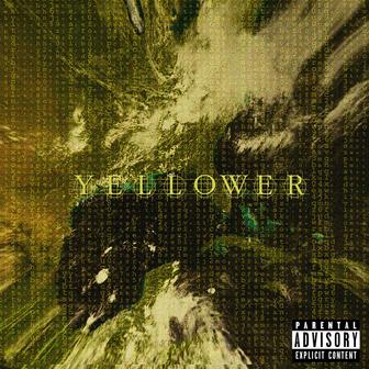 YELLOWER