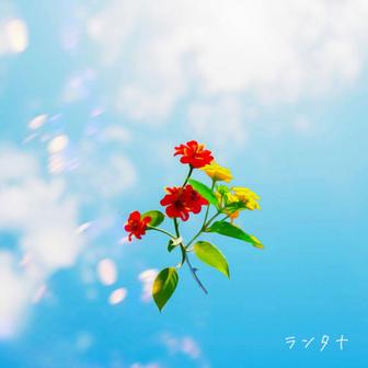 ランタナ