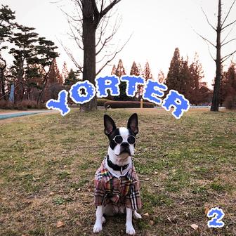 yorter 2