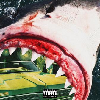 Shark Report