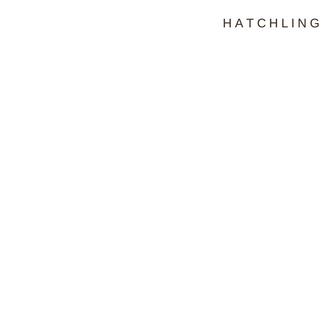 Hatchling