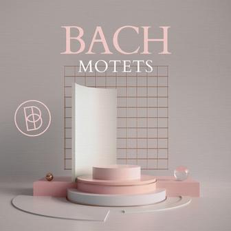 Bach: Motets