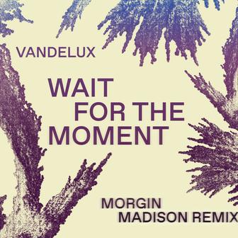 Wait For The Moment (Morgin Madison Remix)