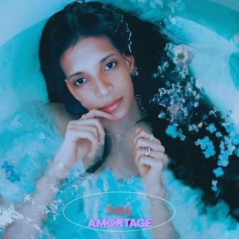 AMORTAGE
