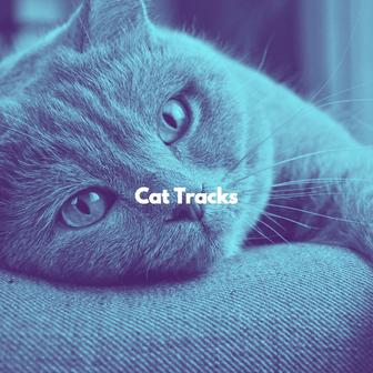 Cat Tracks
