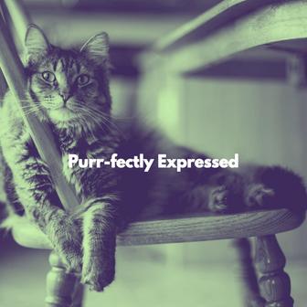 Purr-fectly Expressed