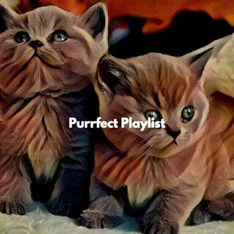 Purrfect Playlist