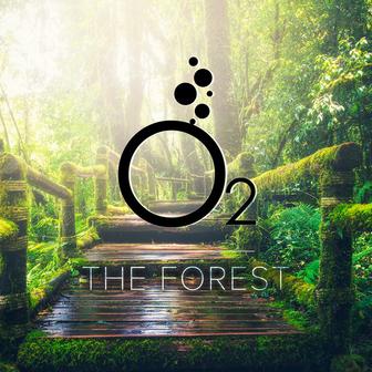 The Forest