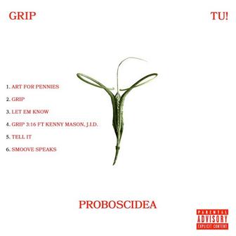 Proboscidea