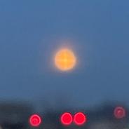 Dark Moon