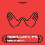 Culture (feat. Harry Shotta) - Odyssy Remix