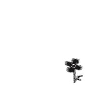 2024-06-13 03.33 - Single