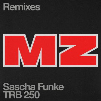 MZ (Roman Flügel Remix)