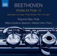 Serenade in D Major, Op. 41: V. Allegro scherzando e vivace