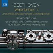Serenade for Flute, Violin & Viola in D Major, Op. 25: V. Allegro scherzando e vivace