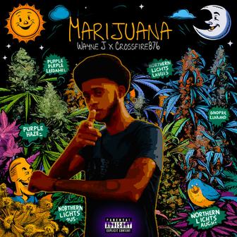 Marijuana
