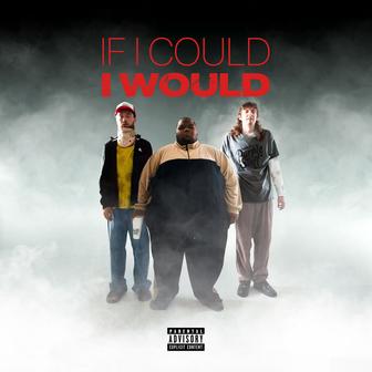 If I Could I Would