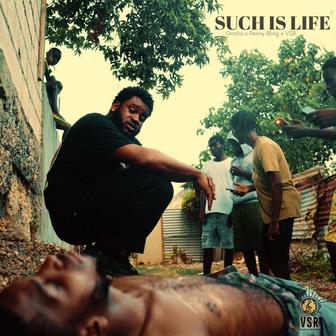Such Is Life