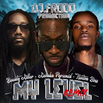 My Level (Dj.Frodo Remix)