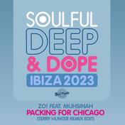 Packing for Chicago (Terry Hunter Remix Edit)