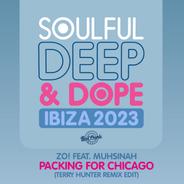 Packing For Chicago - Terry Hunter Remix Edit