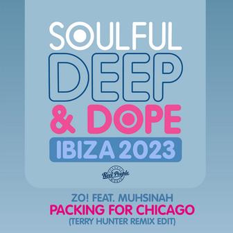 Packing for Chicago (Terry Hunter Remix Edit)