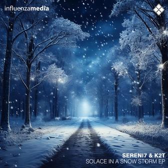 Solace In a Snow Storm EP