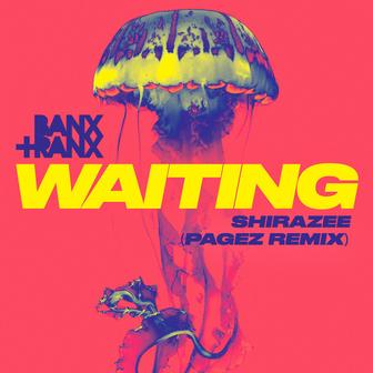 Waiting (feat. Shirazee) [PAGEZ Remix]