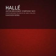 Symphony No. 9 in D Minor, WAB 109, "Dem lieben Gott": I Feierlich, Misterioso